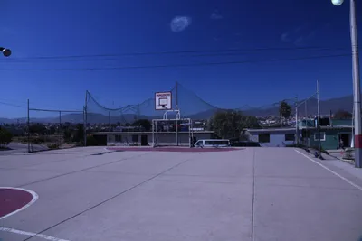 DSC_2090 (Large).JPG